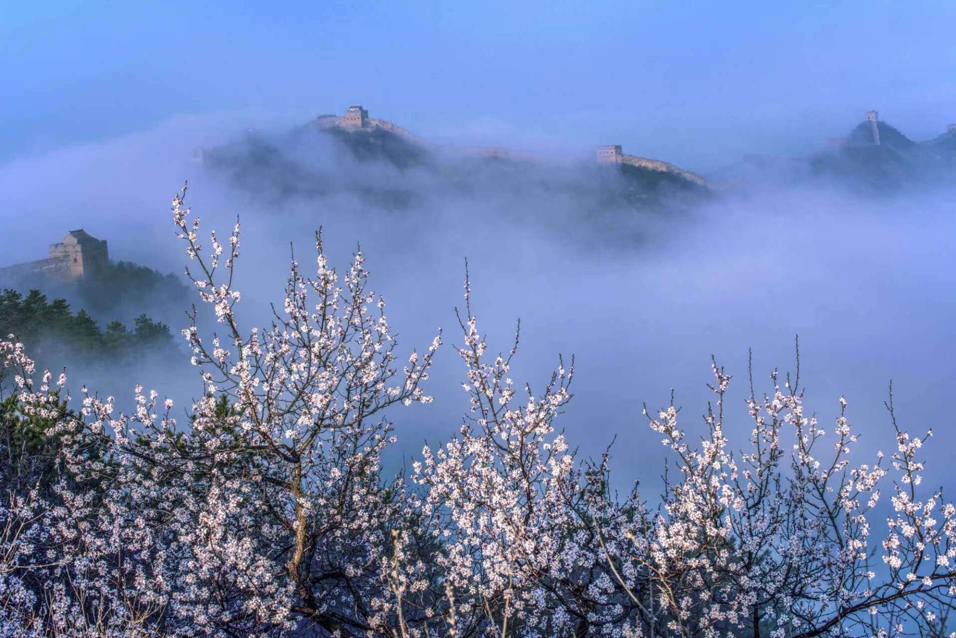 春到长城~周秀平.jpg